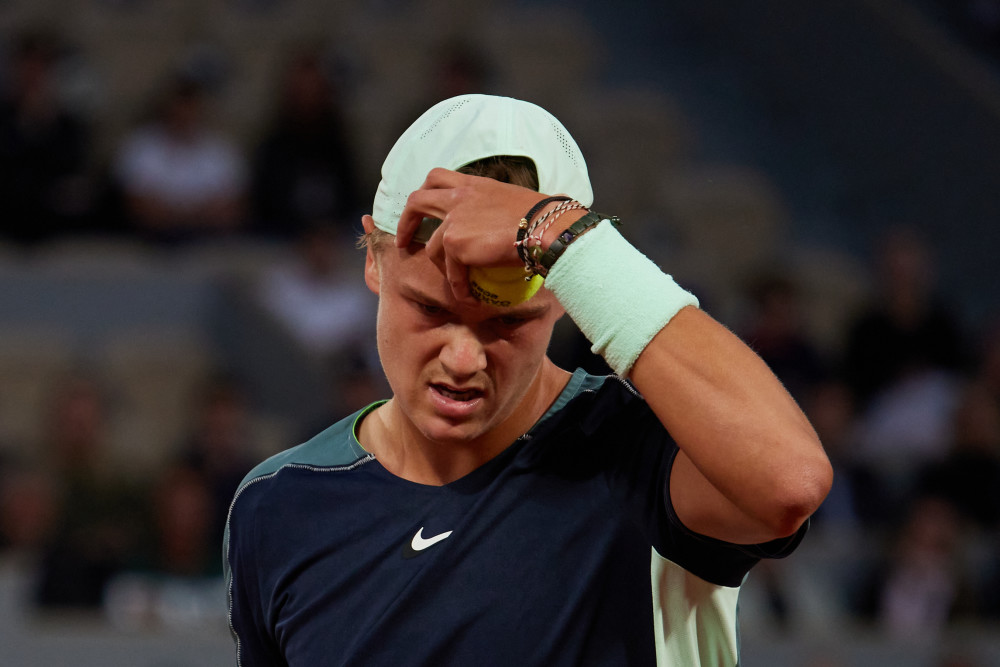 供一个展示 供一个展示