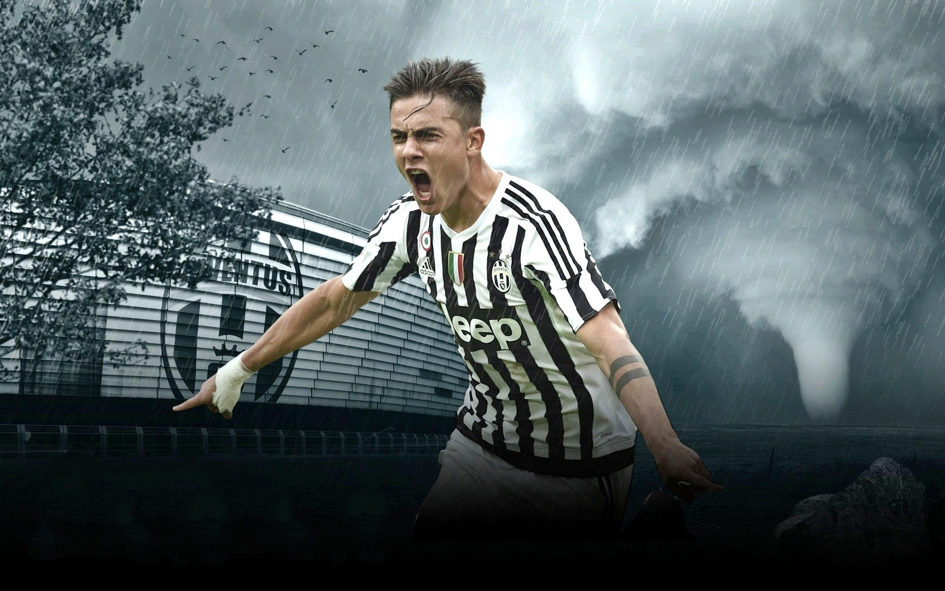 照太阳想要 照太阳想要